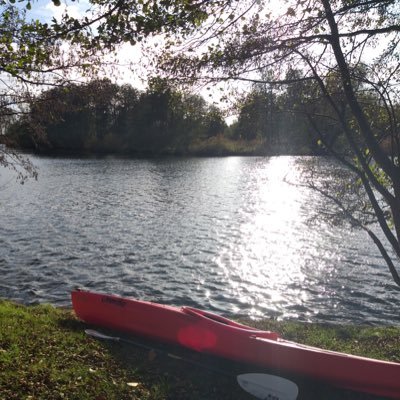 Dasummi's profile picture. gelegentlich offline… 🛶