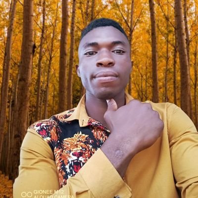 My name is KALU OBINUBA, I'm a Forex trader,web designer and a digital marketer.I have been into the system for 8years and I also do account management.