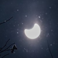 sakuya (@sakuya000000000) 's Twitter Profile