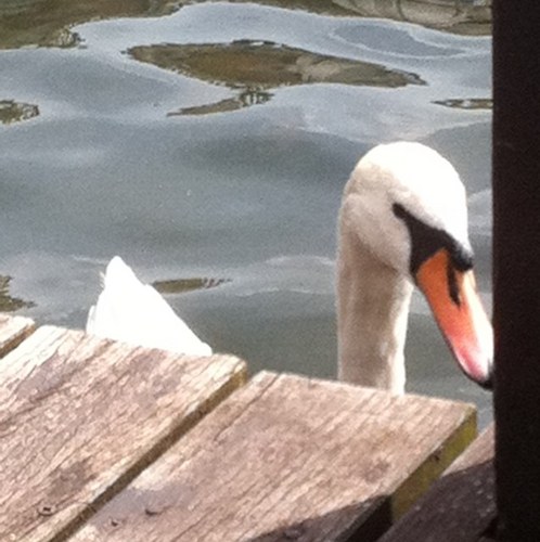 andyshieldsHVN's profile picture. Heating and Ventilation News