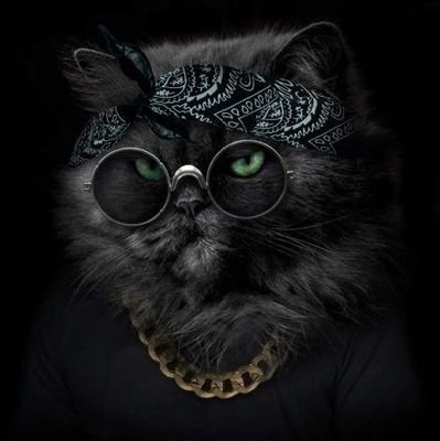 Mohamma64583899's profile picture. nft