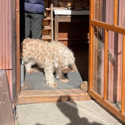 Carol_line0406's profile picture. 