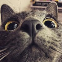 clrxjm (@clrjmx) 's Twitter Profile