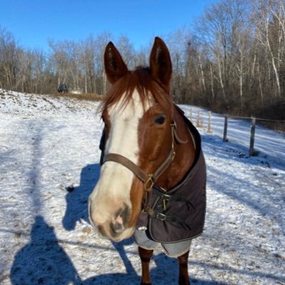 KathleenComeau7's profile picture. 