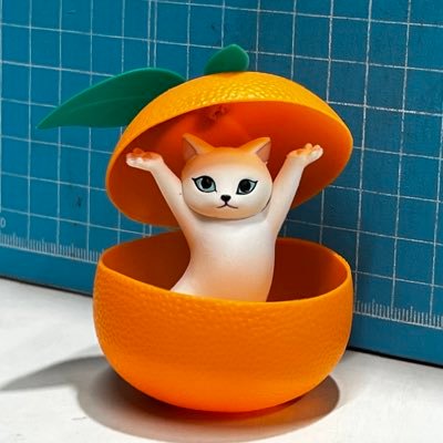 りなも🐈‍⬛さんのプロフィール画像