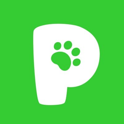 Pethereumgame Profile Picture