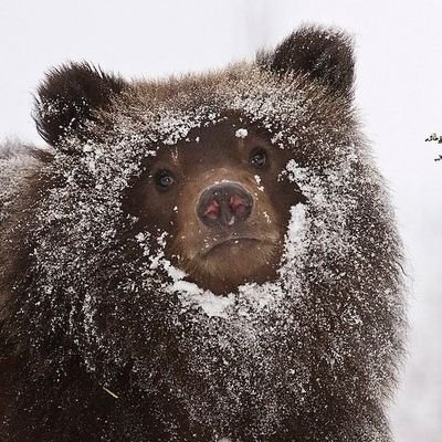 여름빛새さんのプロフィール画像