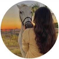 🕊💜 (@mishh2030) Twitter profile photo