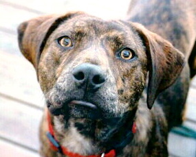 Shannin14's profile picture. Just trying to keep it all together.