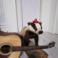FPL Badger (@fpl_pit) 's Twitter Profile
