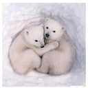 Derek Sim - @DerekSim15 - Twitter