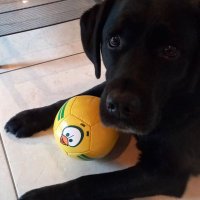 Beutier carole (@tutifruitiee) 's Twitter Profile