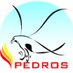 Progetto PEDROS (@DronePedros) Twitter profile photo
