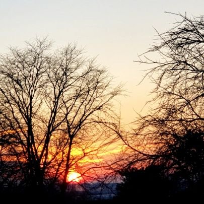 TheRealTzevaot's profile picture. I AM