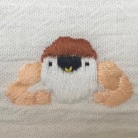 ピッピ (@pippi_memory) 's Twitter Profile