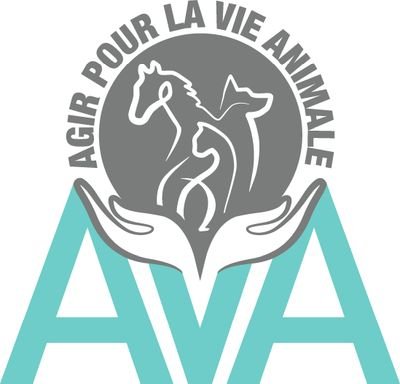 😻 Association qui milite contre les euthanasies de convenance
🏡 2 Refuges situés en Normandie
https://t.co/UE5vEezfkO