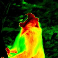 Juliette Berthier (@berthierjuliet) 's Twitter Profile Photo