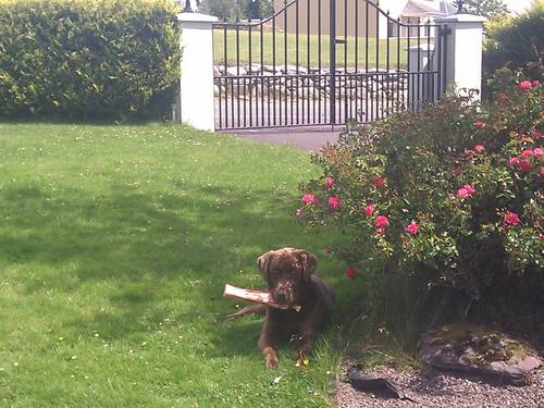 ched1973's profile picture. a person who looks after all who are near and dear to him