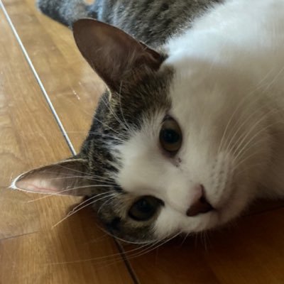 makoさんのプロフィール画像