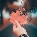 Fatima Rasheed - @FatimaR04156525 - Twitter