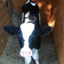 Hannah Penn - @Vincent_RenoFF7 - Twitter