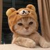 mic(ino) (@micdoingthings) Twitter profile photo mic(ino) (@micdoingthings) Twitter profile photo