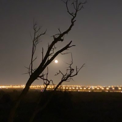 mksacom's profile picture. ارسل رساله خاصه وابشر بالنشر مجانا