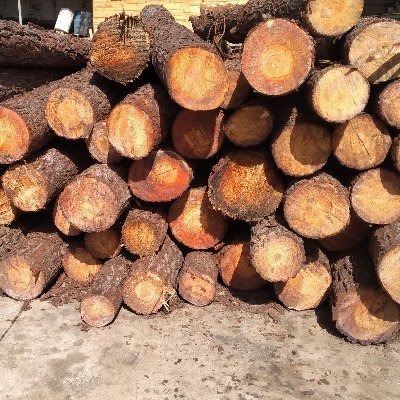 American Palet C.A.
J-50047285-4
ASERRADERO INDUSTRIAL
PALETAS AL MAYOR PARA TODO TIPO DE EMPRESA
SOMOS ESPECIALISTAS
San Diego, VZLA
WhatsApp 58+4128001383