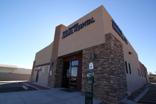 CasaGrandeVet's profile picture. Casa Grande Animal Hospital - Treating your pet as part of our family.