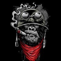 nükleer goril (@gevezekarga7) 's Twitter Profile