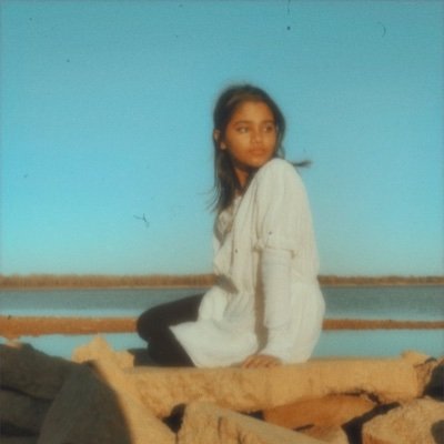 anushree_night's profile picture. According to all known laws of aviation, there is no way a bee should be able to fly. 🐝💨