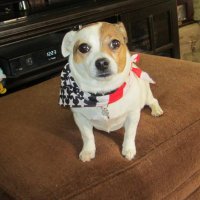 Mrs. M. Molinaro (@mmnjs122) 's Twitter Profile