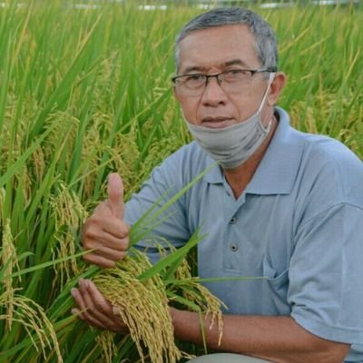Global Rice