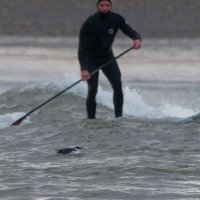john lugg old viking (@johnboylugg) 's Twitter Profile