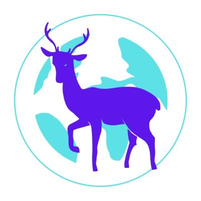 Reindeer Ski MetaClub | NFT