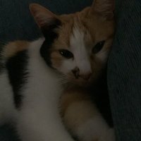 tetagrande (@martacmacho) 's Twitter Profile
