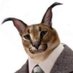 M1t4a (@adnamila) Twitter profile photo M1t4a (@adnamila) Twitter profile photo