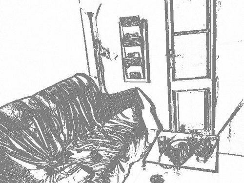 joanpalau's profile picture. 