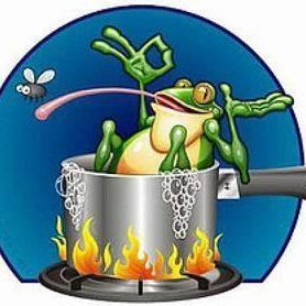 meow_pussycat's profile picture. If you drop a frog into a pot with boiling water, it will naturally jump out, trying to escape. Lukewarm water is a sauna.