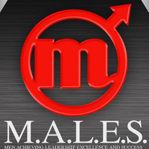 The M.A.L.E.S. organization strives to foster inclusive professional and  personal development opportunities for young men & women at #UMASSLowell #TeamSuccess