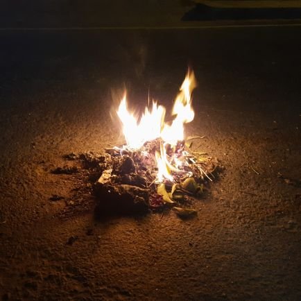 varshin43070215's profile picture. 