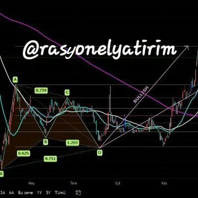 @rasyonelyatirim
