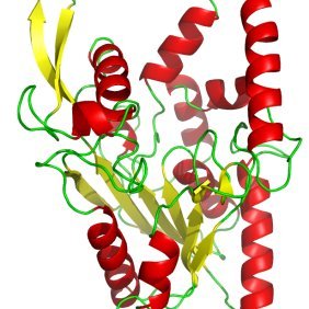 BioorganicaUOVI