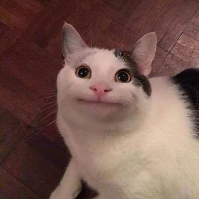 Pedroso160710's profile picture. 