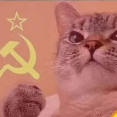 Follow me for contast reposts of whatever I like (communism, w40k, and anything else)