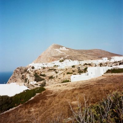 grizzydabear's profile picture. I market