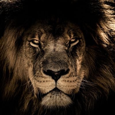 zafer77617437's profile picture. Malatya Kale Kozluk Köyü
Mahkum Babası