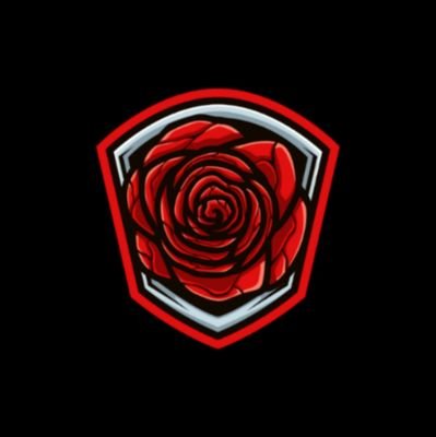Twitch Streamer/ YouTuber/TikTok/ Rocket League Enthusiast