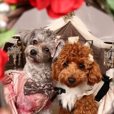 nsxr1991's profile picture. ♂
ステップワゴン、 BRZ、NBOX、CB750(rc42)、アプリリアサルーテ、Dioに乗ってます。Instagram(https://t.co/JQPXtDotm8)
(@Naaa94763086)プレオ