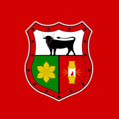 Welsh Division 2 East Central Rugby Team. #followthebwl 🐂